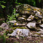 1/200s f/1.8 ISO 100 Sony E50mm f/1.8 OSS