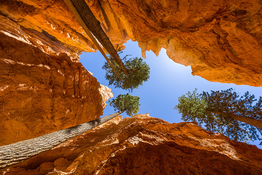 Bryce-DSC05730a